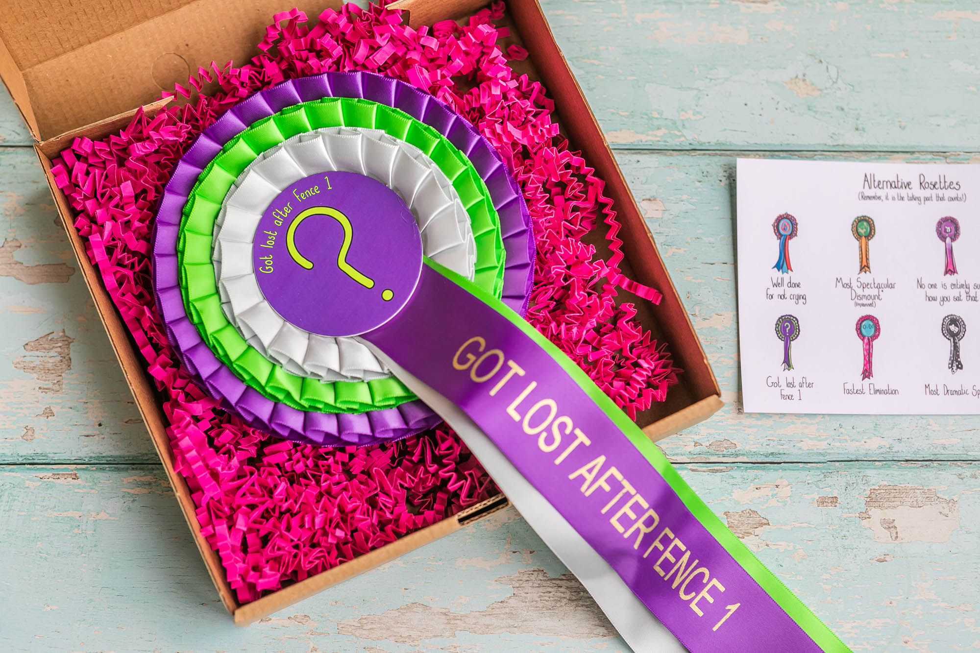 ‘Got lost after Fence 1’  (Individual)