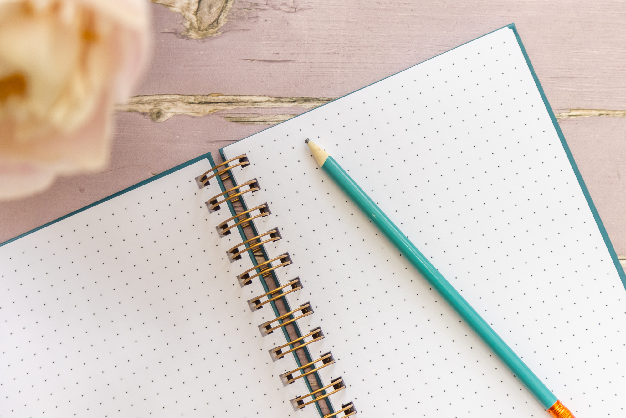 Dotted pages inside the Hardback notebook