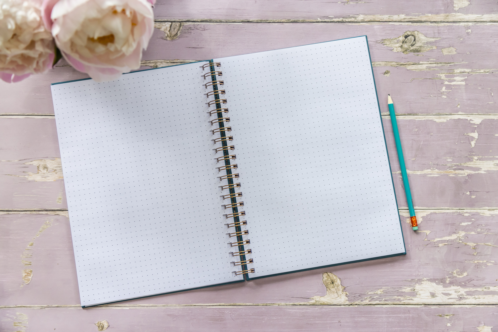 Dotted pages inside the Hardback A4 notebook