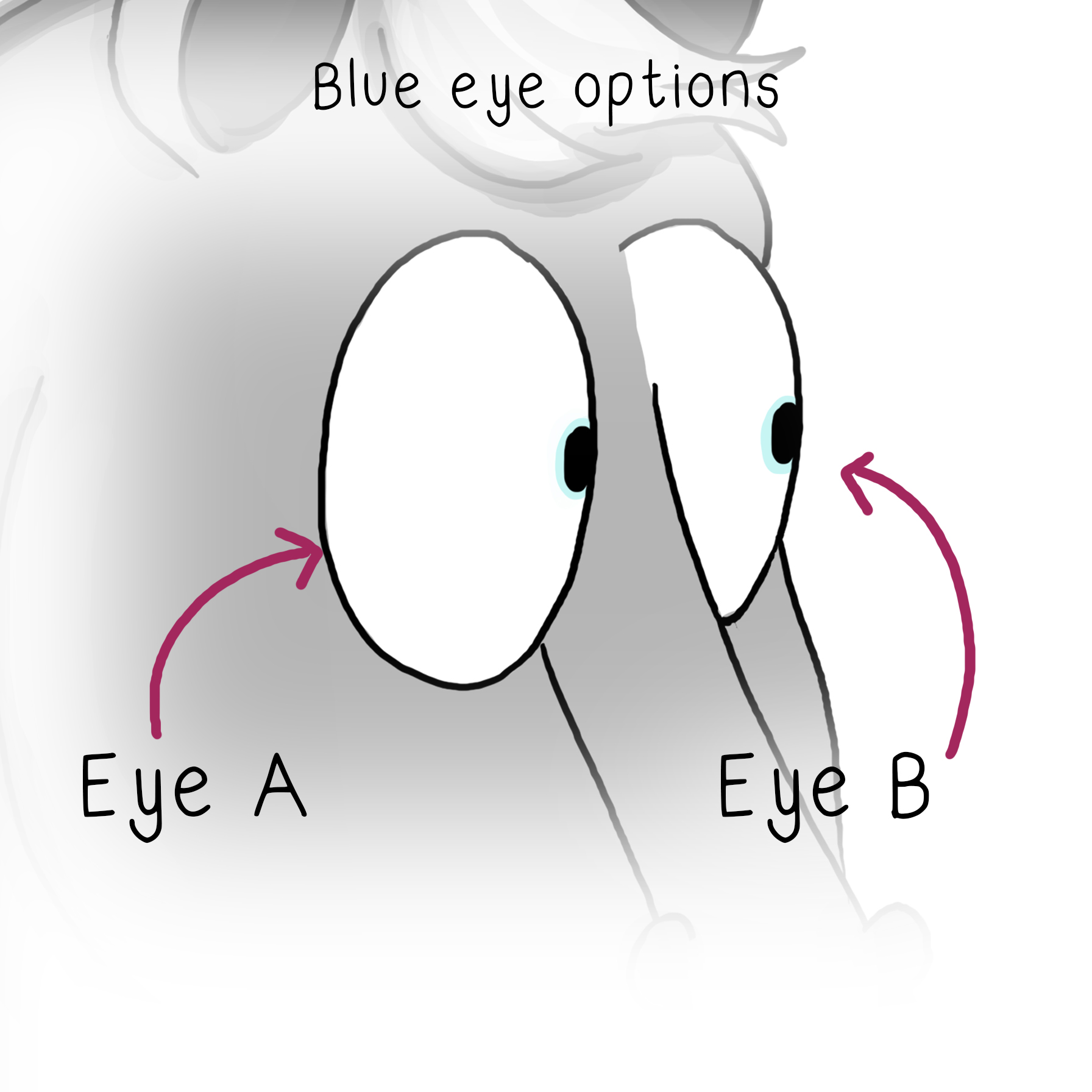 Blue eye options for original personalise a pony prints by Emily Cole. Indicating Eye A and Eye B.