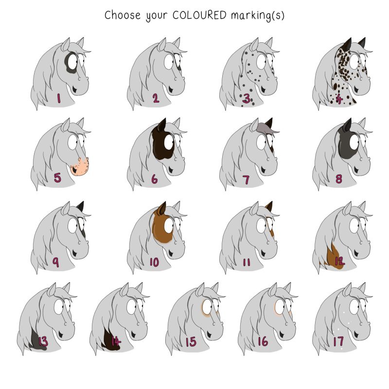 Custom Horse Illustration. Face marking options.