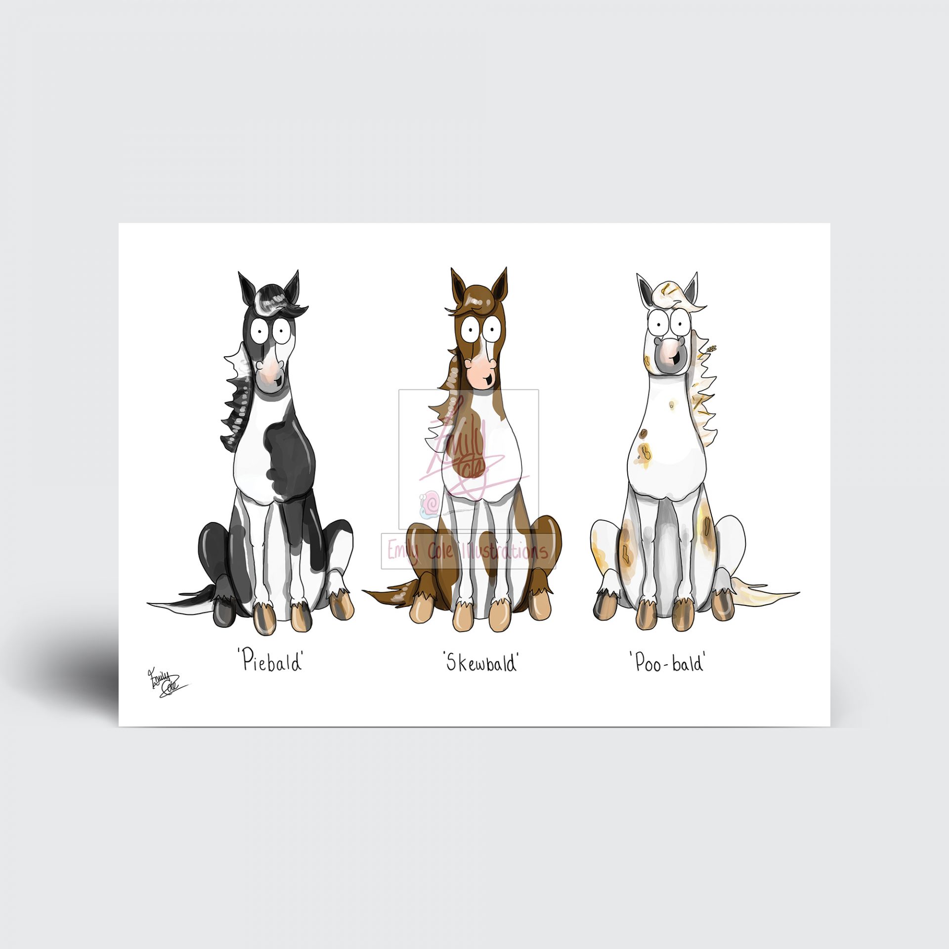 'Poo-bald' Greeting Card