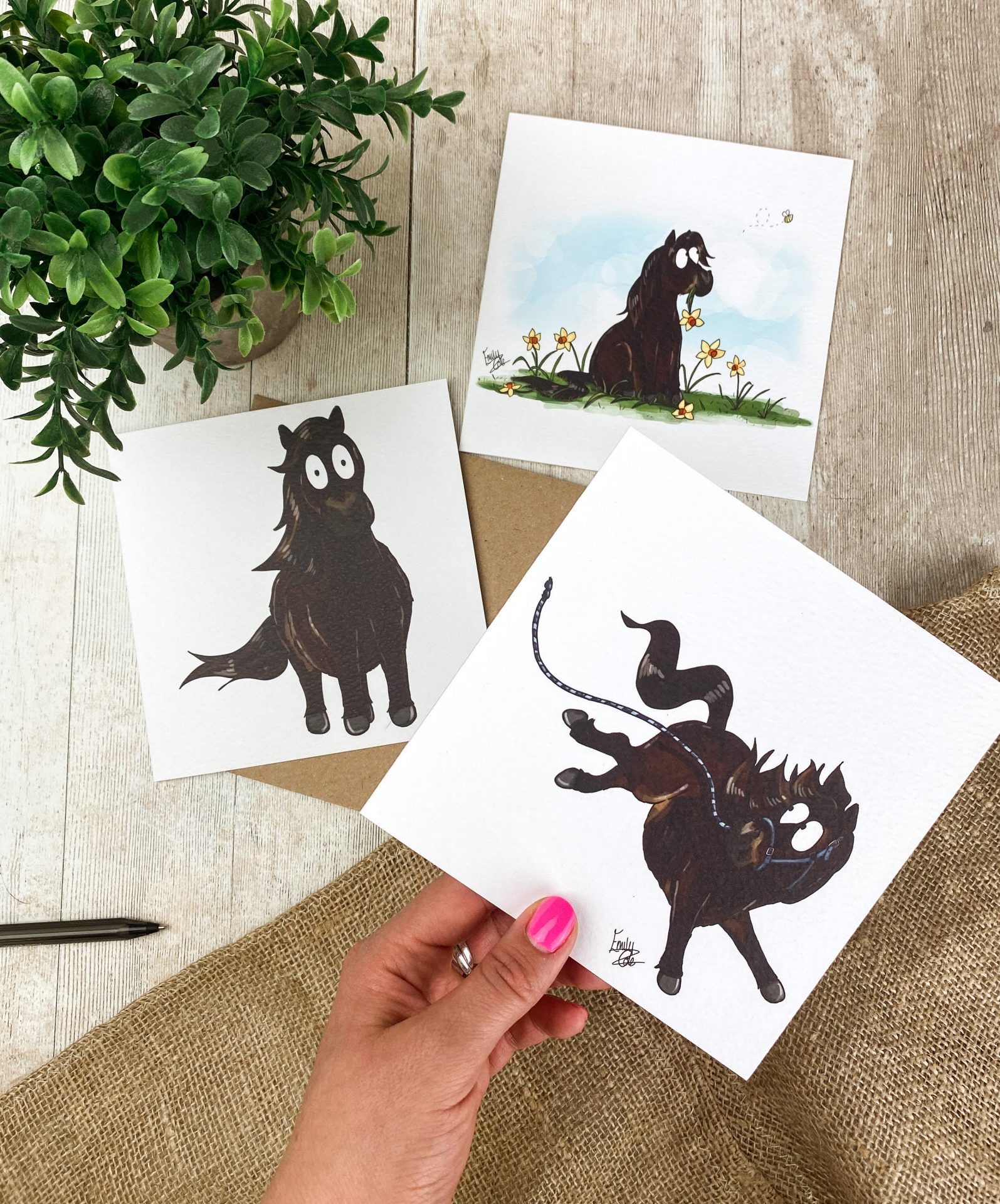 The Shetland Pony Collection Card Set