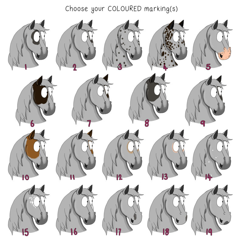 Coloured Horse Marking Options. Personalise a Pony Emily Cole