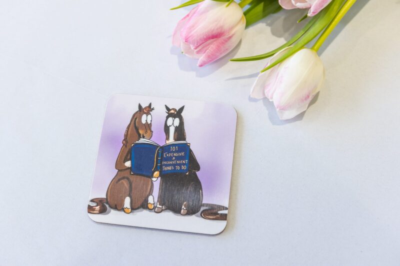 '101 Expensive and inconvenient things to do' Melamine Coaster