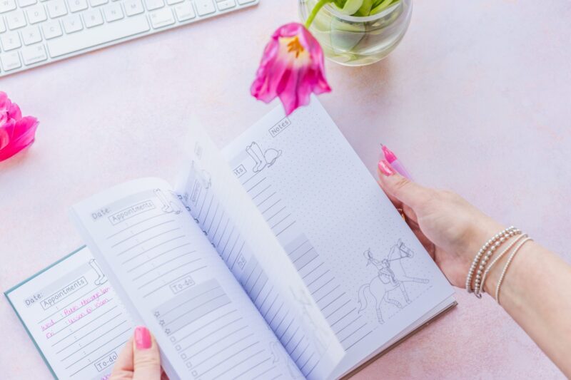 A5 Daily Planner Book, Horse Themed Day to View layout with To-Do List, Appointments and notes section.