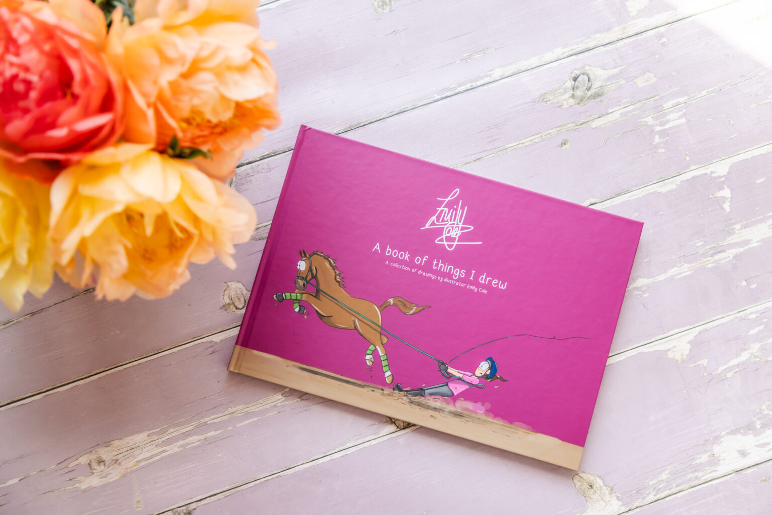 2025 A4 Ringbound Horse Diary Emily Cole Illustrations