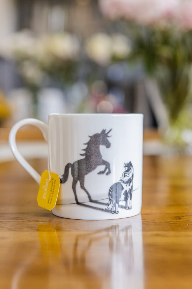 Piebald Horse Fine Bone China Mug.