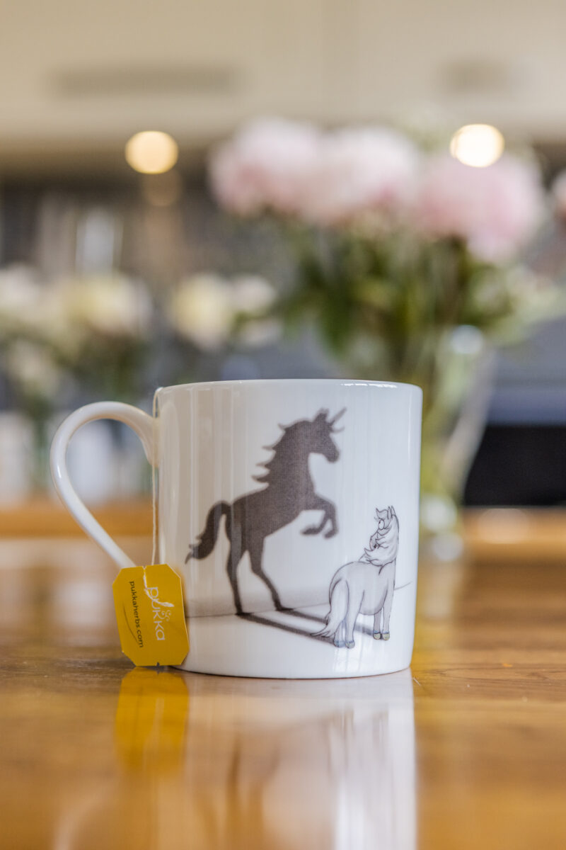 Grey Horse and Unicorn Shadow ' Believe in yourself' Illustration by Emily Cole Illustrations - Fine Bone China Mug