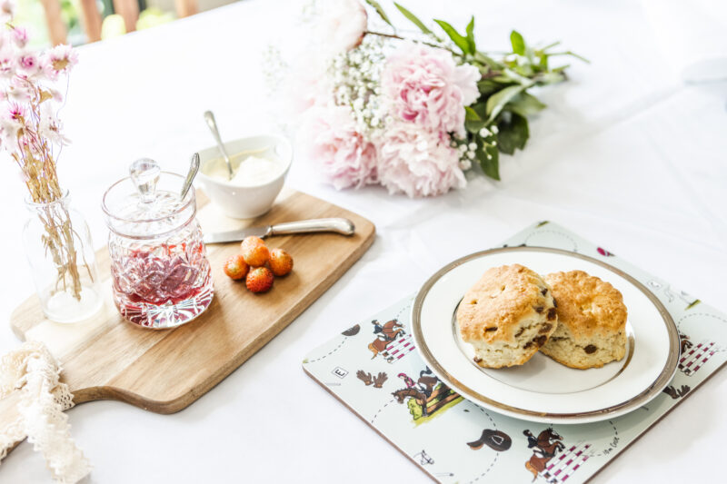 Eventing horse melamine placemat Emily cole illustrations