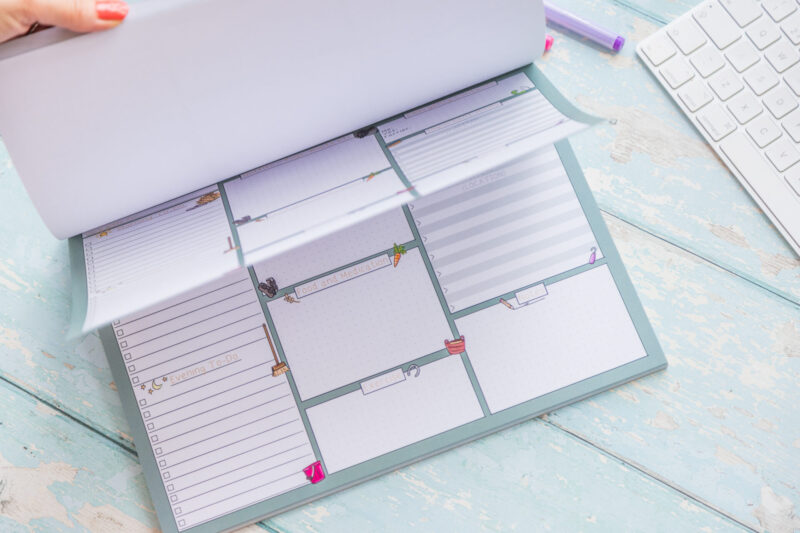 Care guide - Image 2