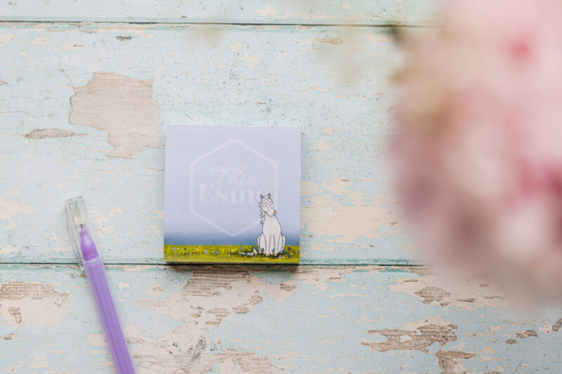 *Discontinued* - This Esme - 'Mickey' Sticky notes - Image 2