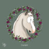 Original Personalise a Pony. Horse example. Green background.
