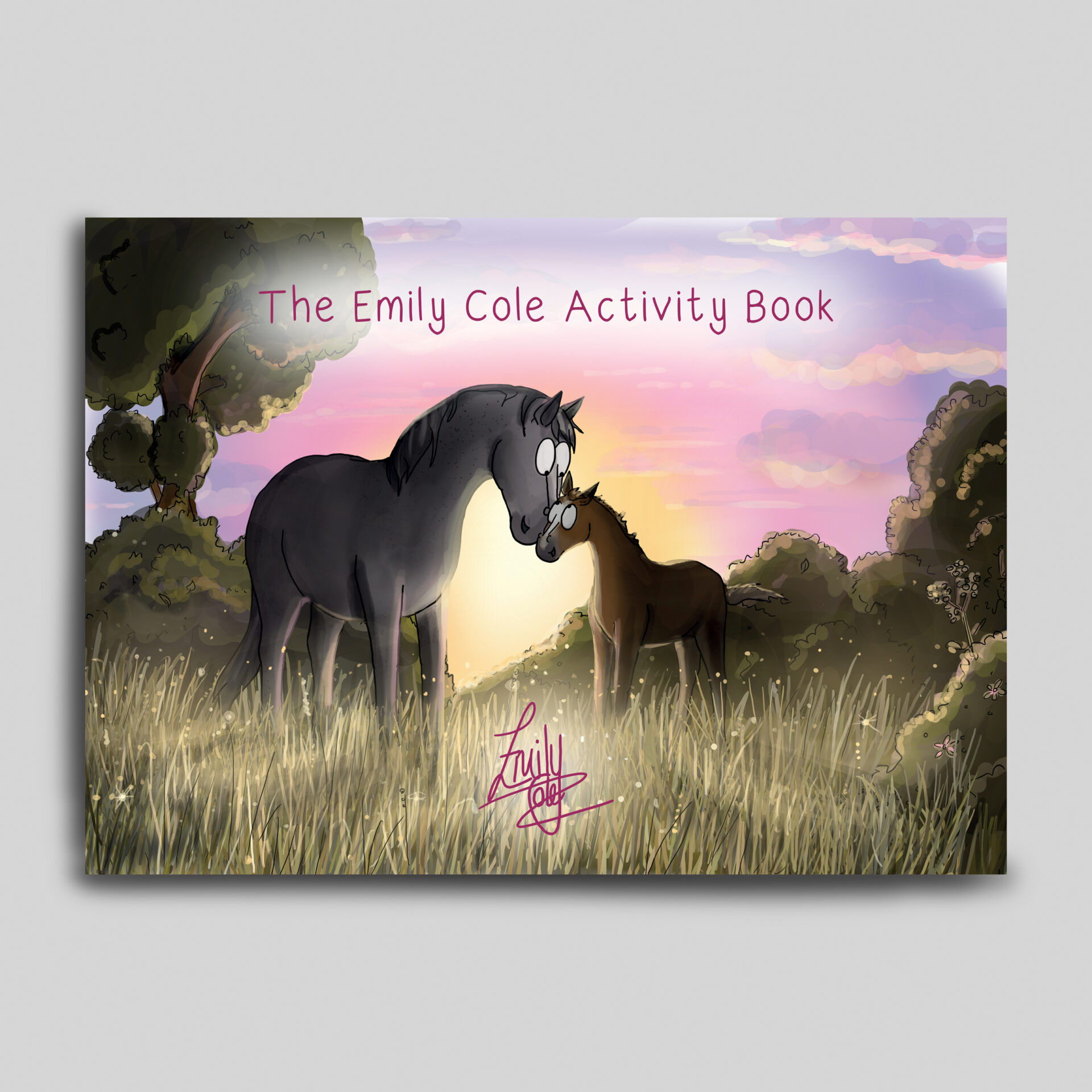 Emily Cole Children's activity book