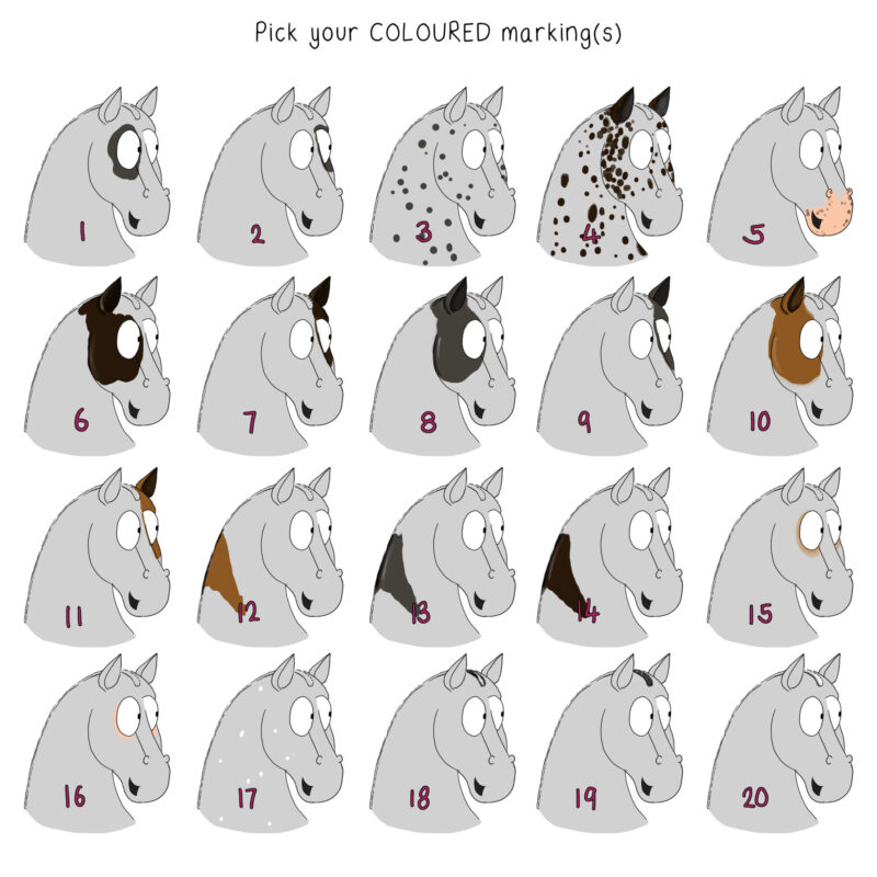 Hogged, Coloured Horse Marking Options. Personalise a Pony Emily Cole