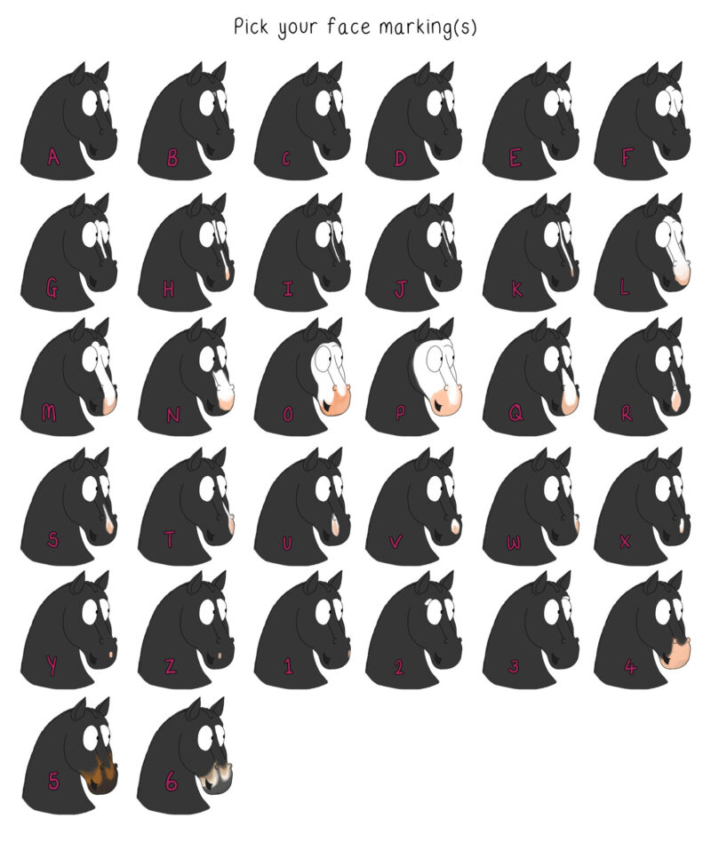 Horse Face Marking Options. Personalise a Pony Emily Cole