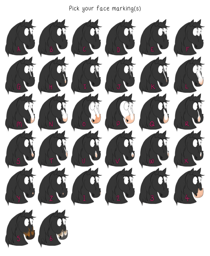 Custom Horse Illustration, face marking options.