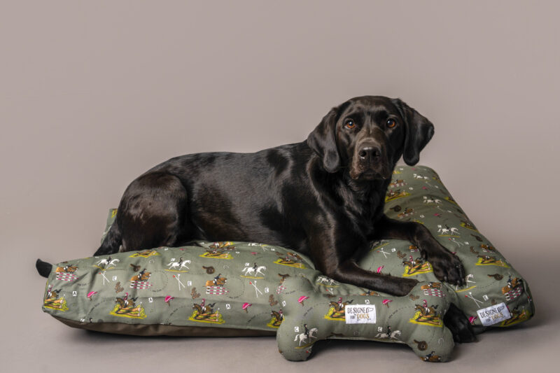Black Labrador, Deep Fill, Orthopedic Memory foam Dog Beds with Green Eventing Horse design and matching Dog Bone Toy.