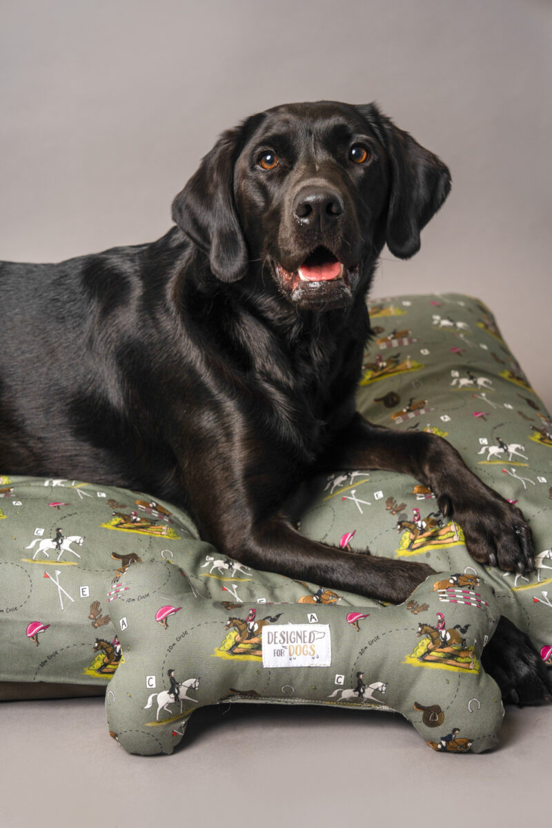 Black Labrador, Deep Fill, Orthopedic Memory foam Dog Beds with Green Eventing Horse design.