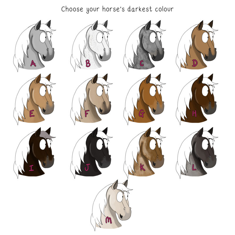 Custom Horse Illustration, mane colour options for coloured horse.