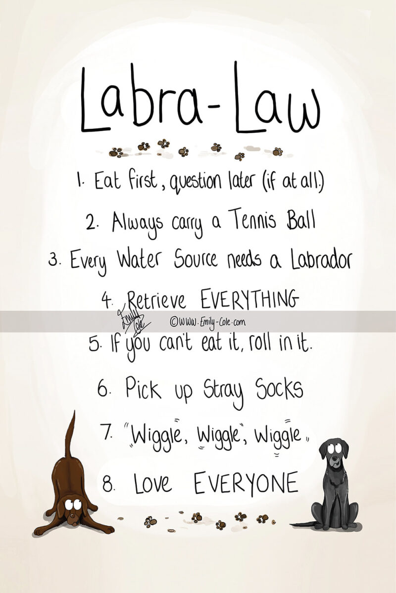 Labra-Law Tea Towel - Image 2