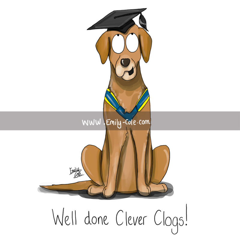 ‘Well done Clever Clogs’ Greeting Card