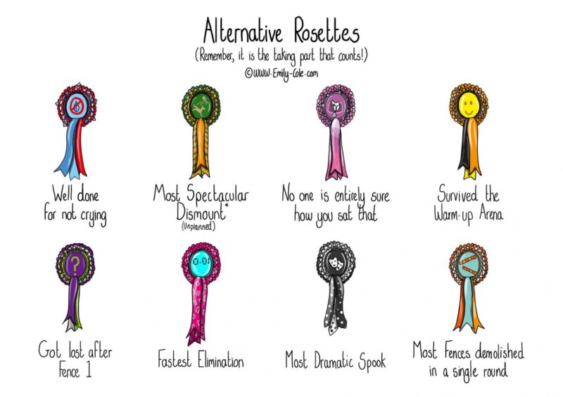 DISCONTINUED - ‘Fastest Elimination’ Rosette - Image 3