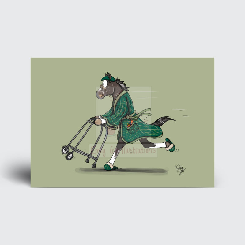 the veteran horse - horse greeting card A5 by Emily Cole Illustrations