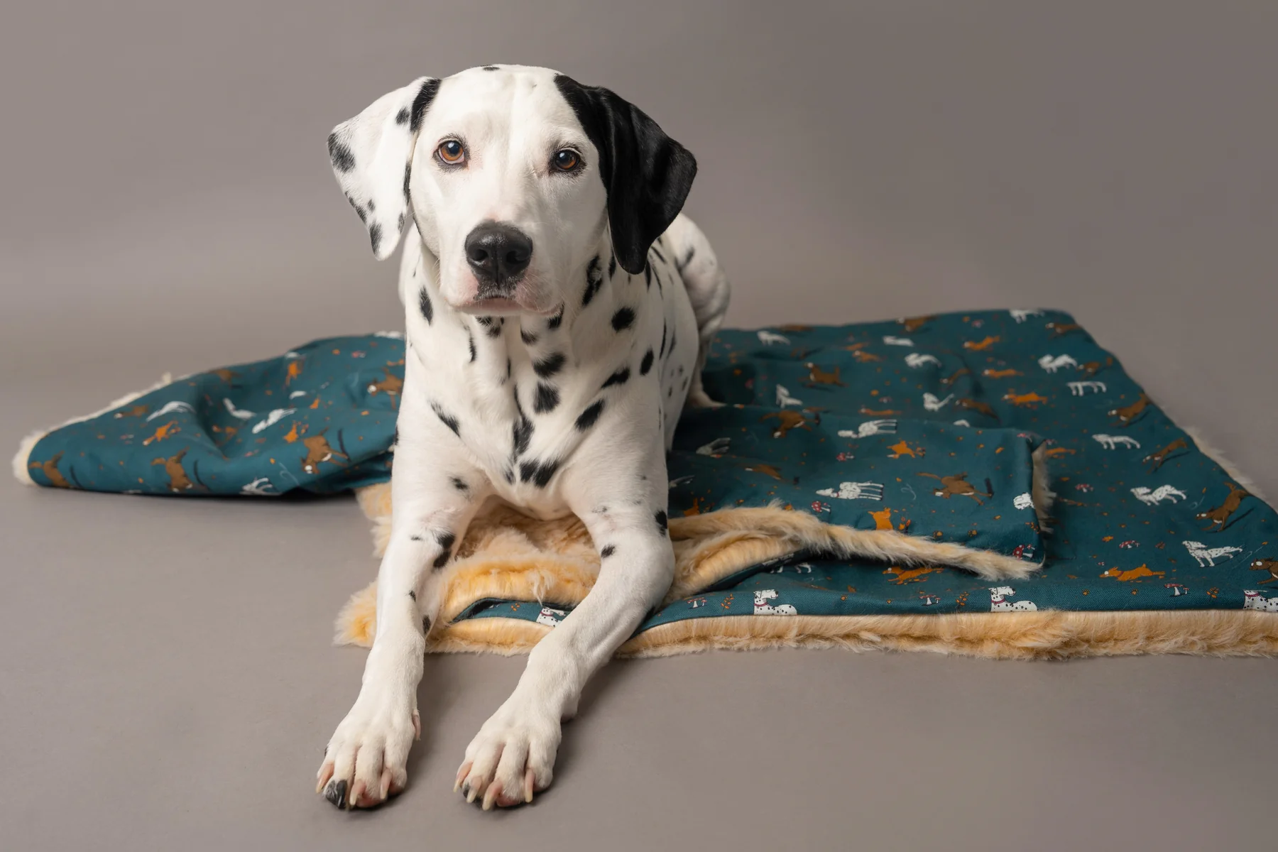 Luxury Emily Cole Blankets - Image 4