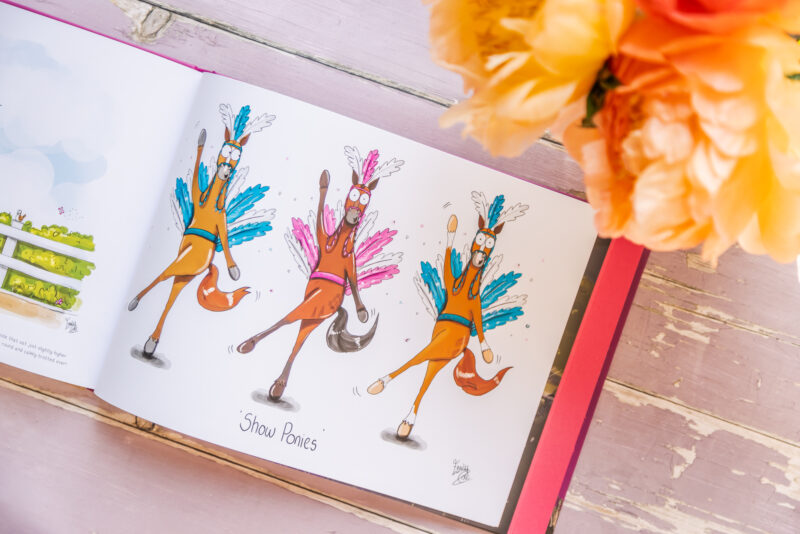 Preview inside 'A book of things I drew' By Emily Cole illustrations.