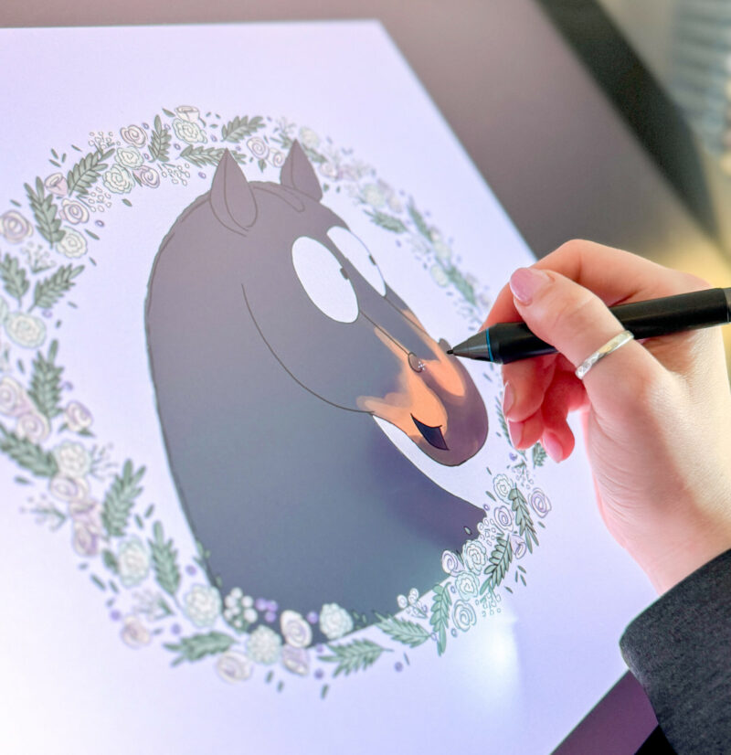Personalise a Pony - Bespoke Colouring