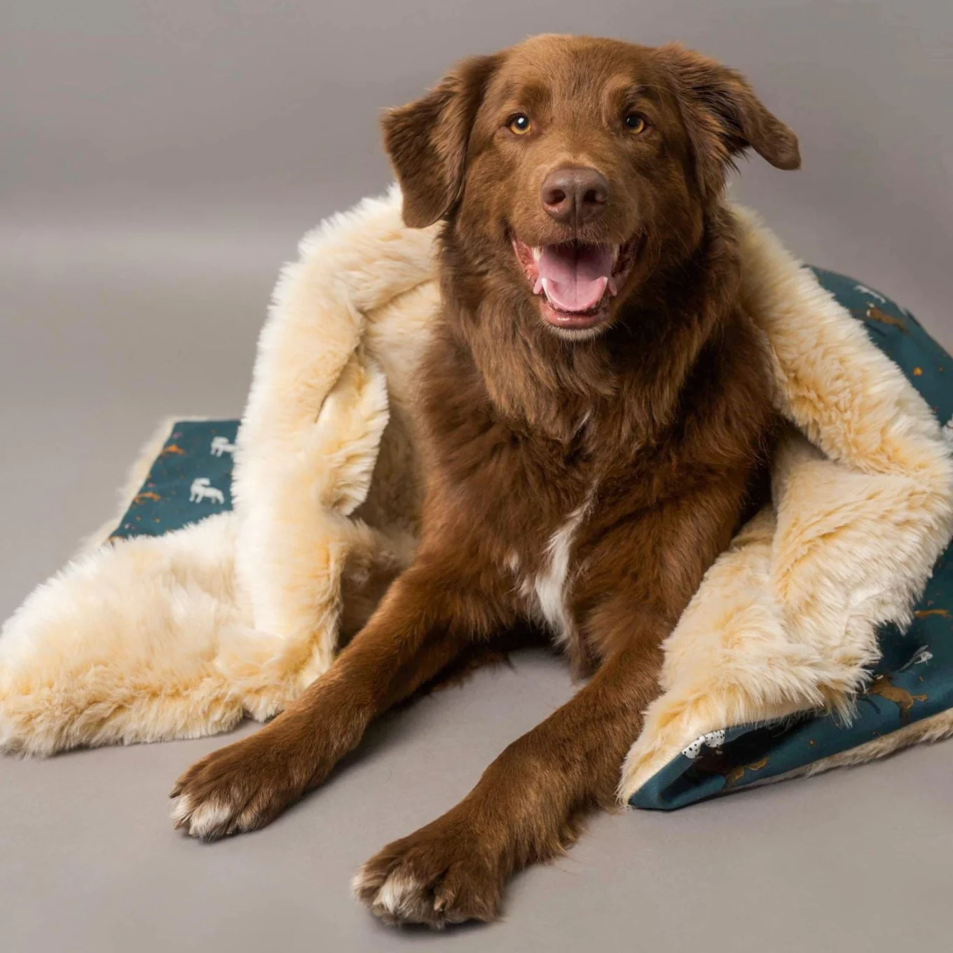 Luxury Emily Cole Blankets - Image 3