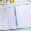 The Training diary by Emily Cole how training inspiration with gridded arenas