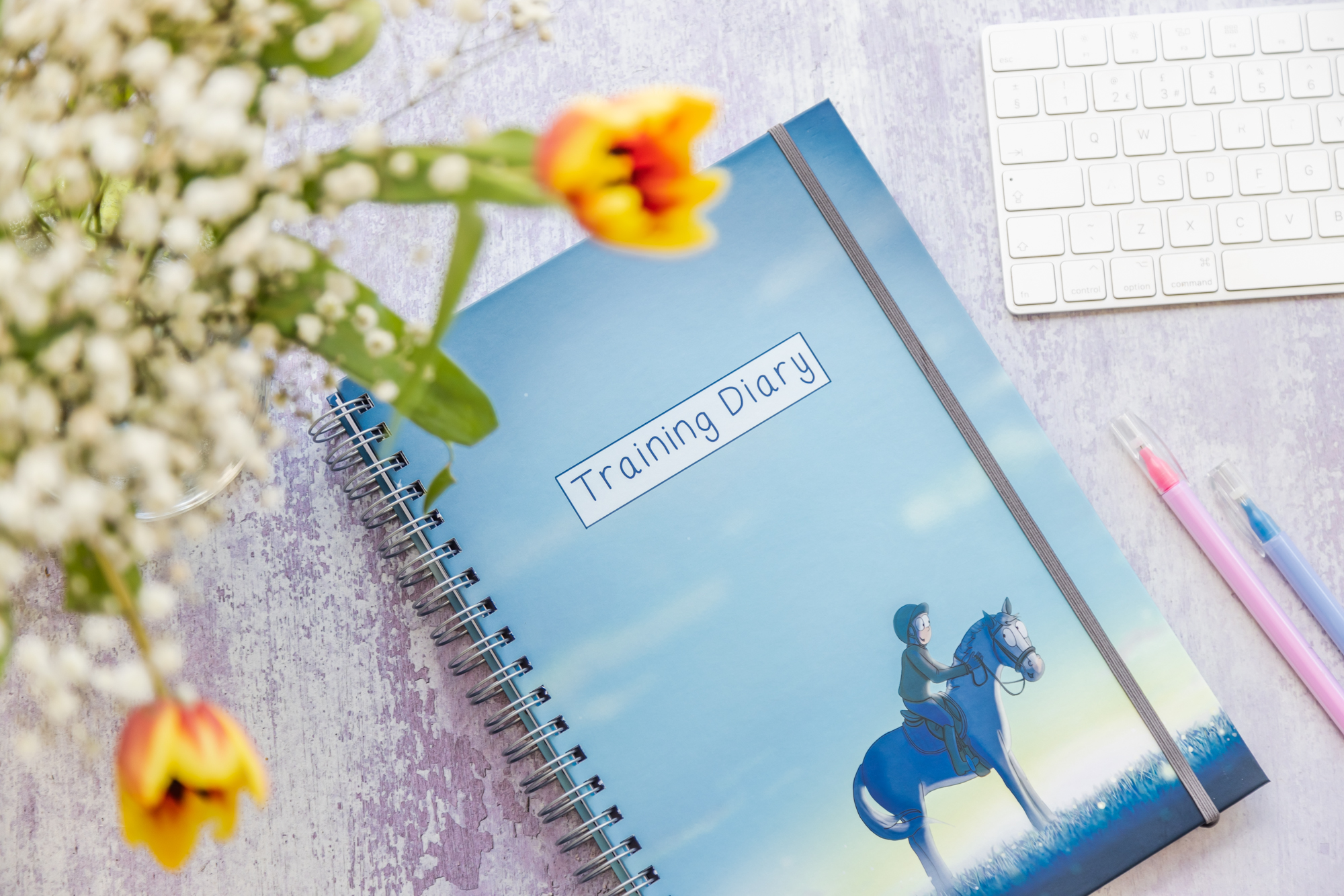 Horse Training Diary