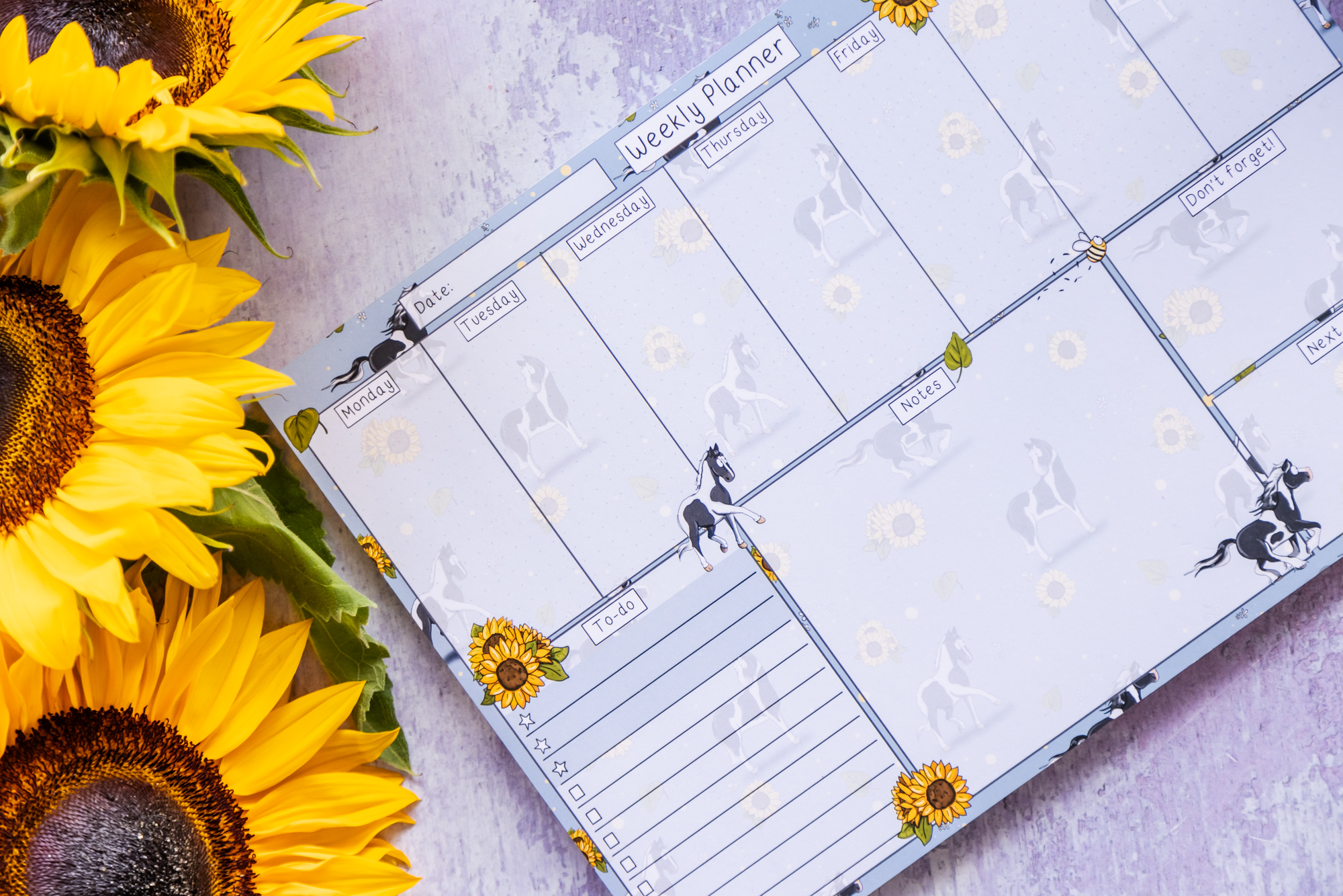 Piebald Horse Pattern Desk Planner by Emily Cole.