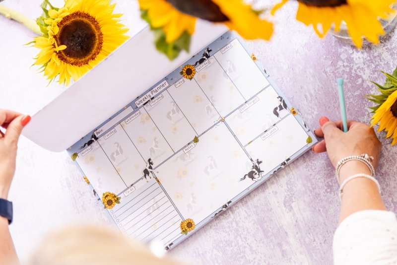 Coloured Horse Piebald Weekly Desk Planner and stationery,