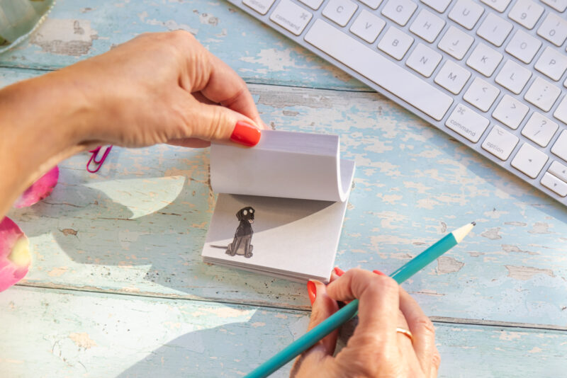 Black Labrador sticky notes stationery by Emily Cole illustrations