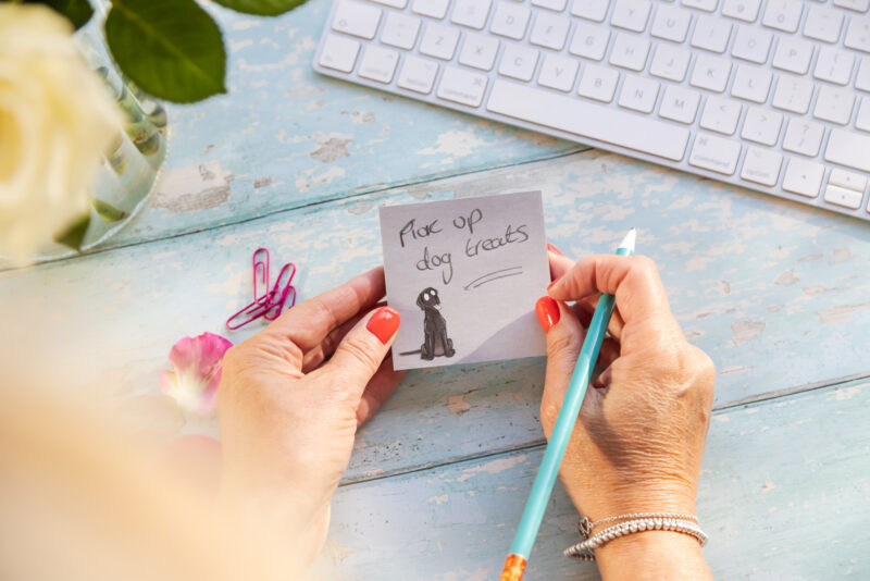Black Labrador sticky notes stationery by Emily Cole illustrations