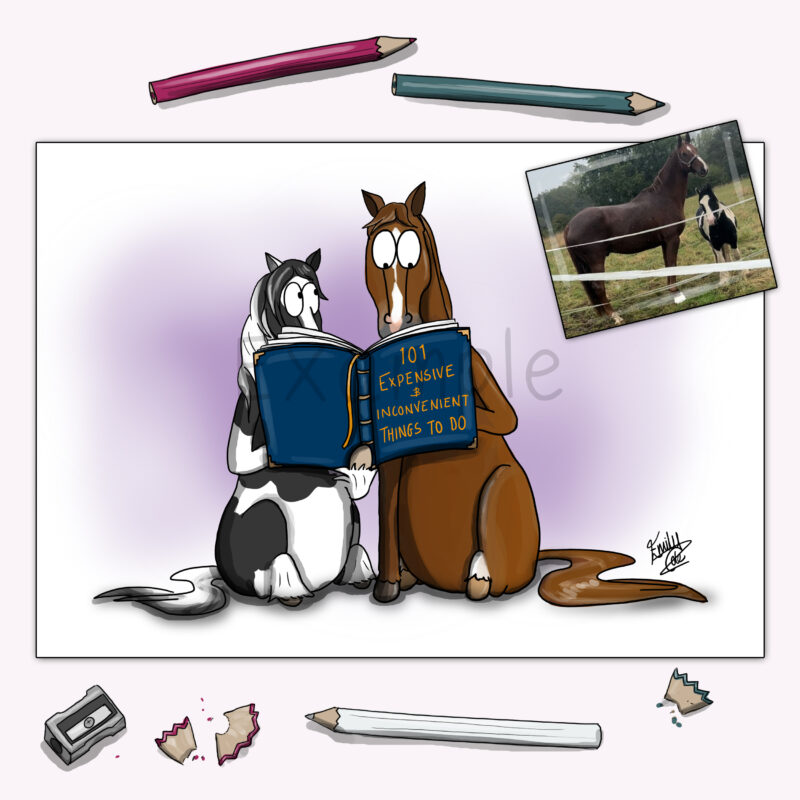 Personalised horse drawing - bespoke colour print by Emily cole illustrations example 101 expensive and inconvenient things to do