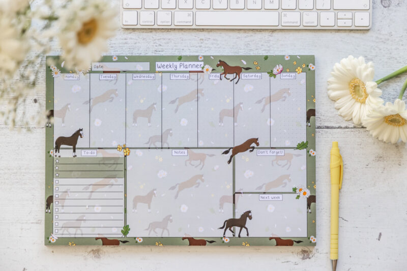 Bay Horse with Daisies Design A4 Desk Planner by Emily Cole Illustrations