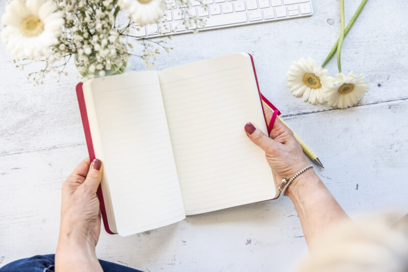 Horse Design Lined Notebook