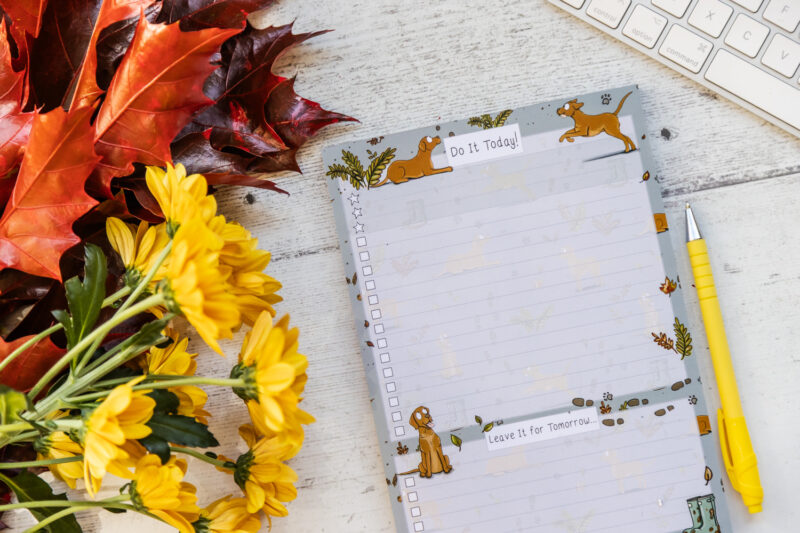 Fox Red Labrador Dog A5 To-Do List by Emily Cole Illustrations