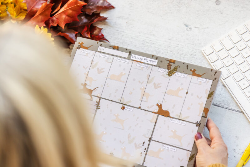 Fox Red Labrador Dog Design A4 Weekly Organiser by Emily Cole Illustrations