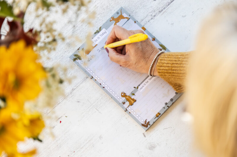 Fox Red Labrador Dog A5 To-Do List by Emily Cole Illustrations