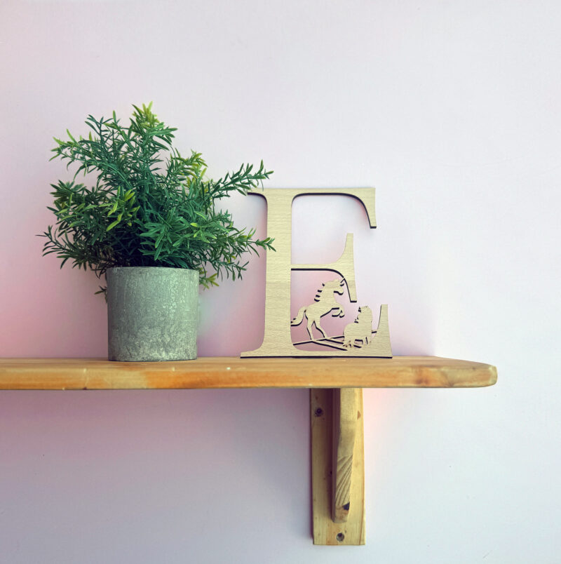 Large wall shelf letter decoration by Emily Cole Illustrations - Believe in yourself