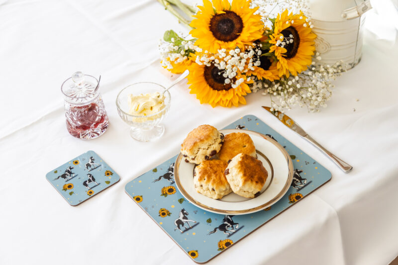 Striking Piebald Horse & Sunflower Patterned Melamine Placemat by Emily Cole Illustrations.
