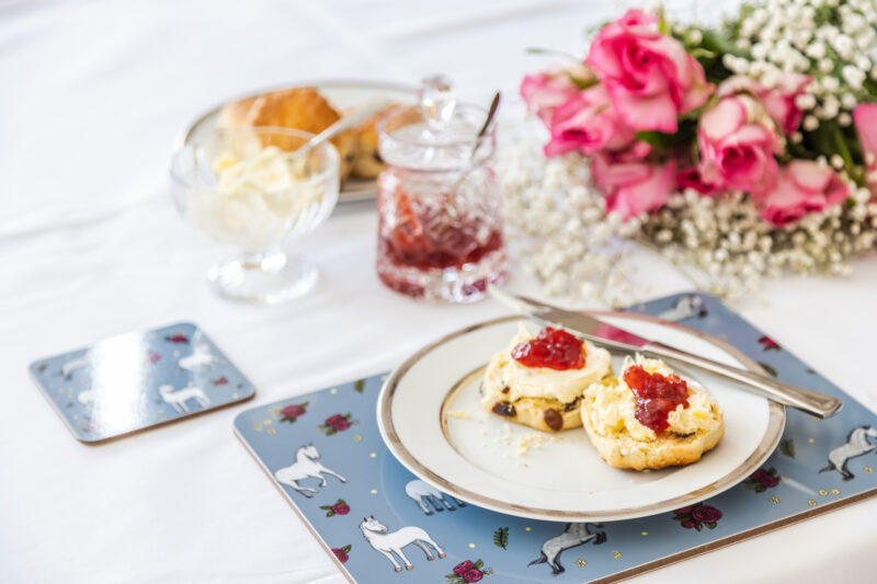 Beautiful Grey Horse & Roses Patterned Melamine Placemat by Emily Cole Illustrations.
