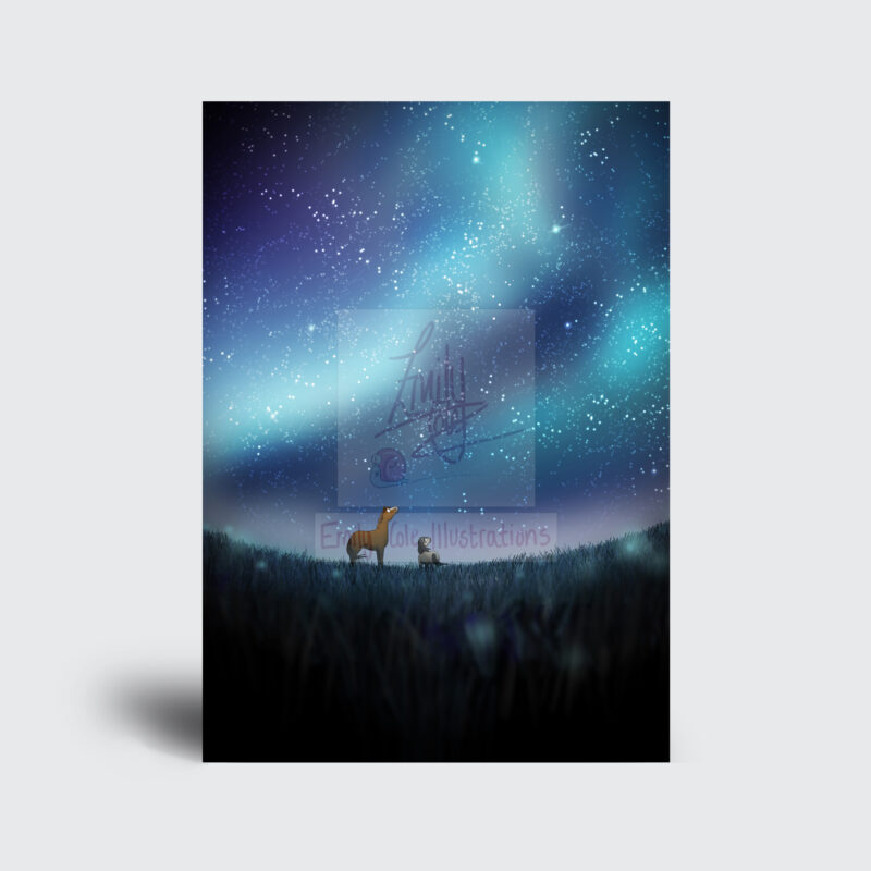 Starry Sky - Jimmy and Sugarplum - Companion Pony - Funny Horse Christmas Card by Emily Cole Illustrations