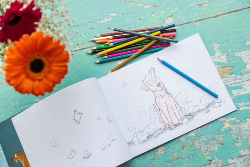 Emily Cole Activity Book - Volume 3