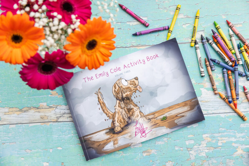 Emily Cole Activity Book - Volume 3